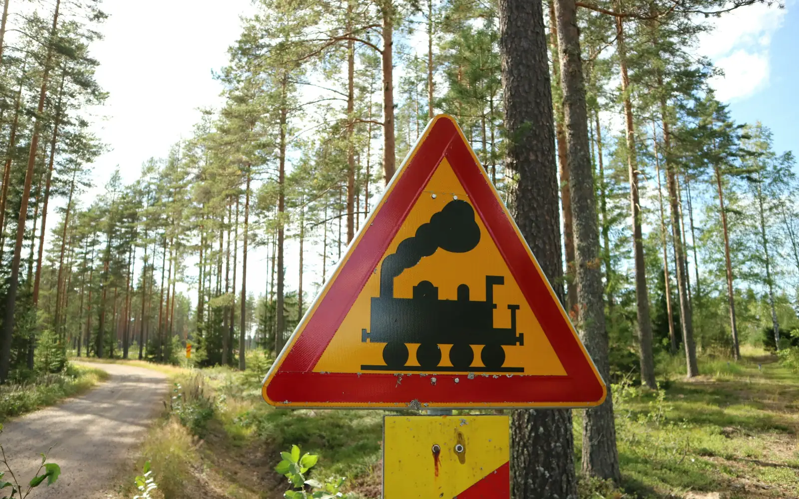 A level-crossing warning sign by a forest road